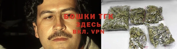 индика Абаза
