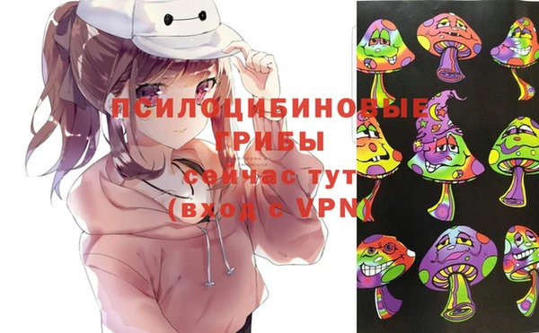 твердый Алзамай