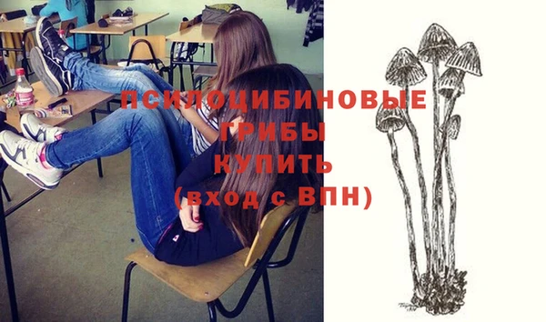твердый Алзамай