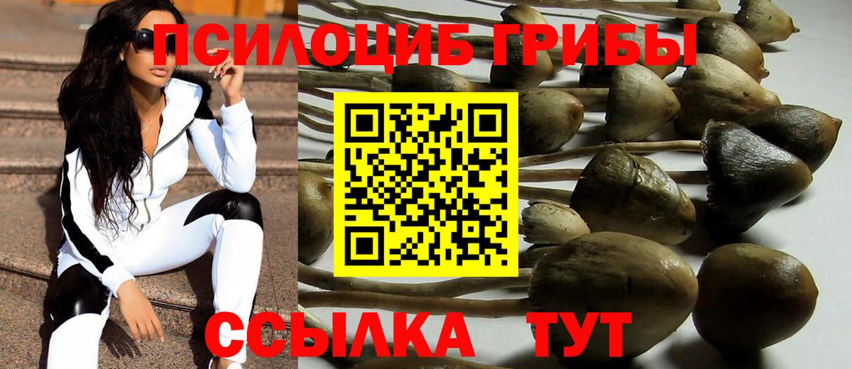 Псилоцибиновые грибы GOLDEN TEACHER Сорочинск