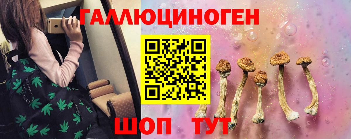 Галлюциногенные грибы ЛСД  Галлюциногенные грибы мухоморы  где найти   Вход с VPN  Сорочинск 